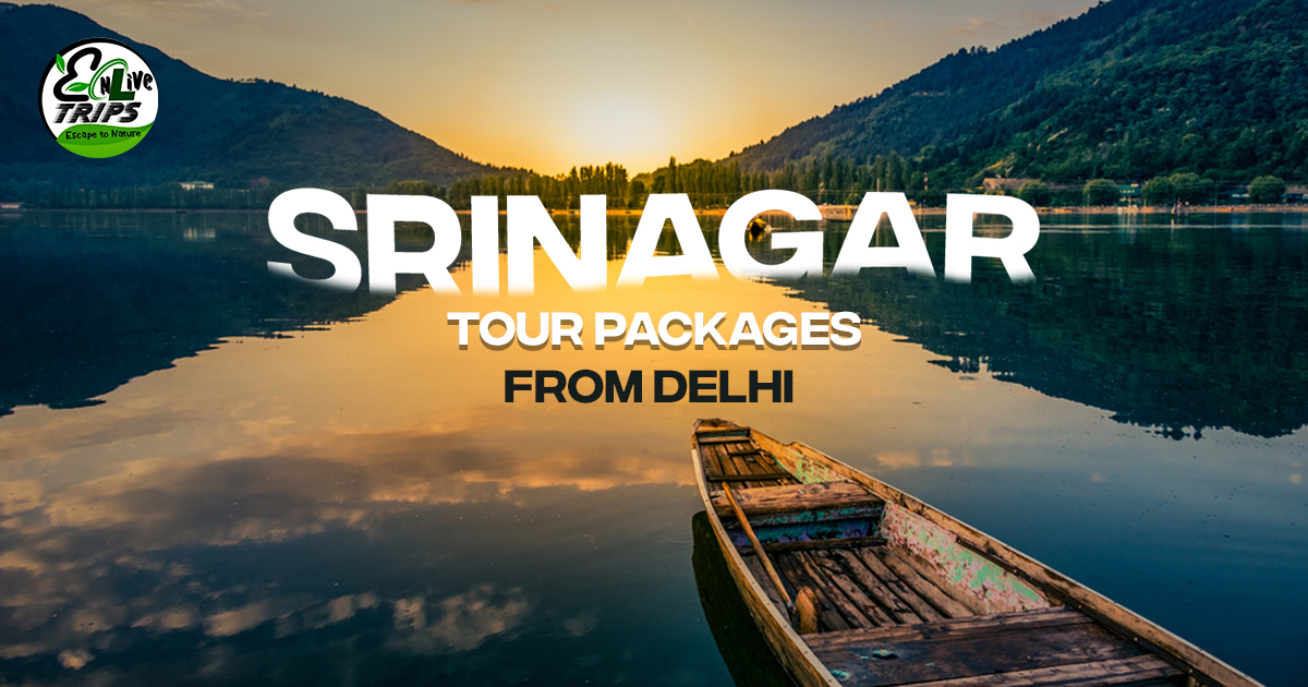 Srinagar tour packages from Delhi